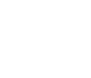 FORM Logo 3 (3)